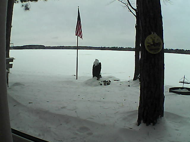 Whiteface Cam Image - Sun, 01/06/2019 4:16pm 