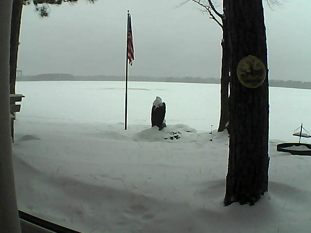 Whiteface Cam Image - Mon, 01/07/2019 7:49am 