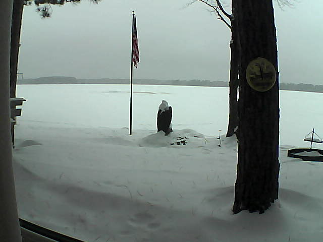 Whiteface Cam Image - Mon, 01/07/2019 7:59am 