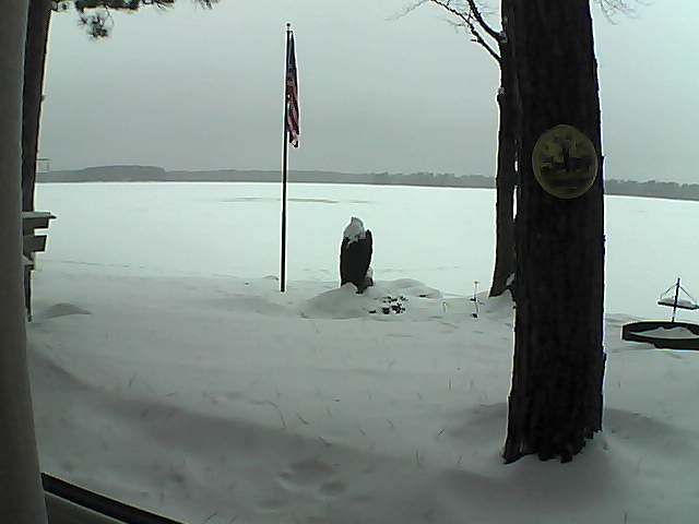 Whiteface Cam Image - Mon, 01/07/2019 8:19am 