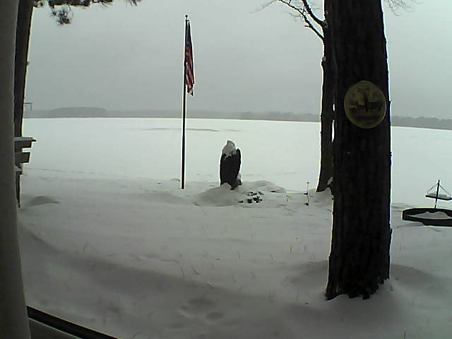 Whiteface Cam Image - Mon, 01/07/2019 8:59am 