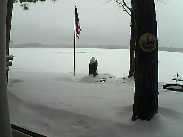 Whiteface Cam Image - Mon, 01/07/2019 9:29am 