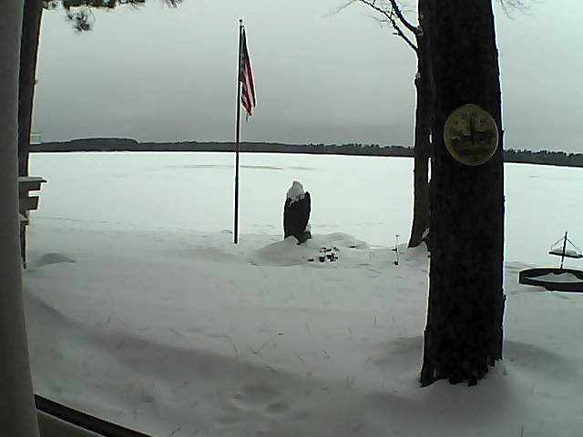 Whiteface Cam Image - Mon, 01/07/2019 11:09am 