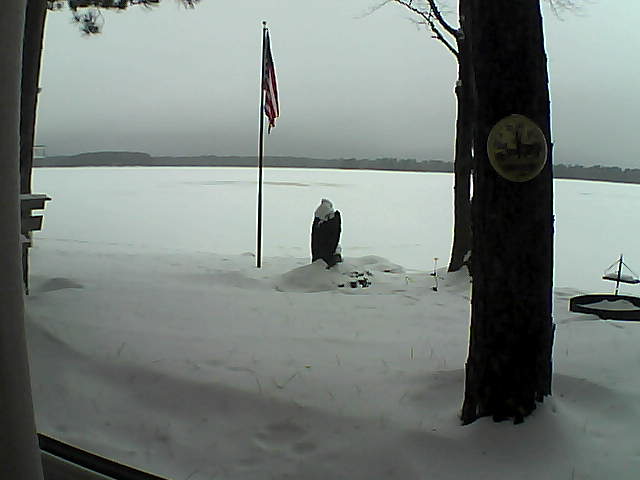 Whiteface Cam Image - Mon, 01/07/2019 11:29am 