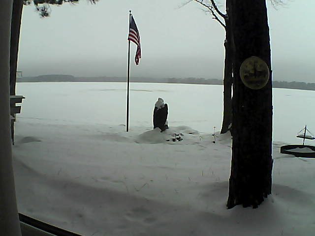 Whiteface Cam Image - Mon, 01/07/2019 11:39am 