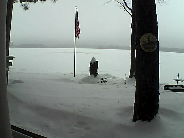 Whiteface Cam Image - Mon, 01/07/2019 11:49am 