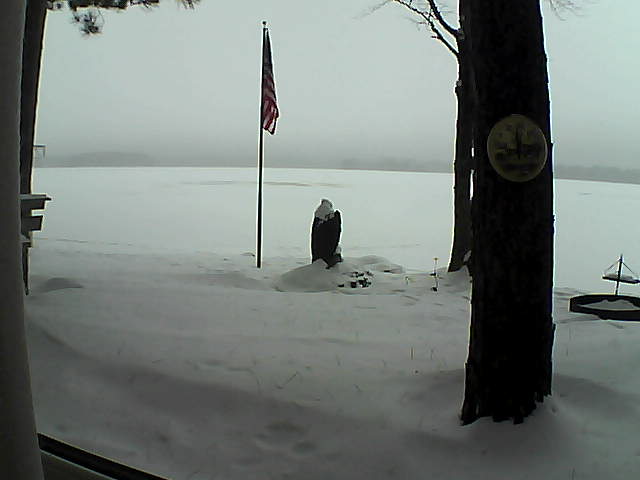 Whiteface Cam Image - Mon, 01/07/2019 11:59am 