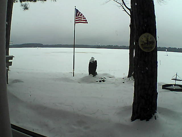 Whiteface Cam Image - Mon, 01/07/2019 1:29pm 