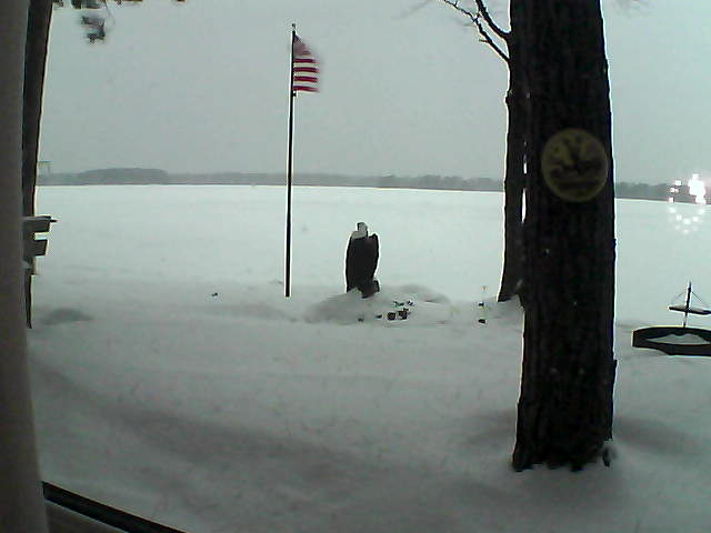 Whiteface Cam Image - Tue, 01/08/2019 7:35am 