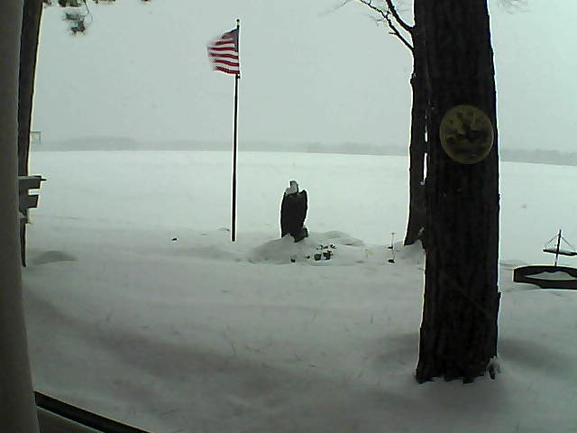 Whiteface Cam Image - Tue, 01/08/2019 7:45am 