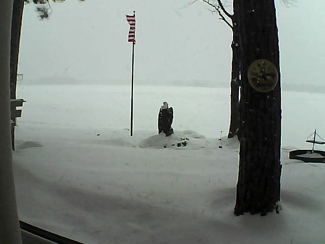 Whiteface Cam Image - Tue, 01/08/2019 7:55am 