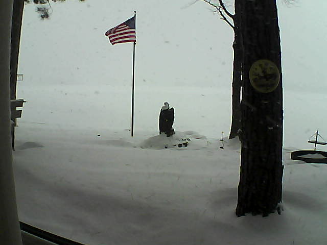 Whiteface Cam Image - Tue, 01/08/2019 8:05am 