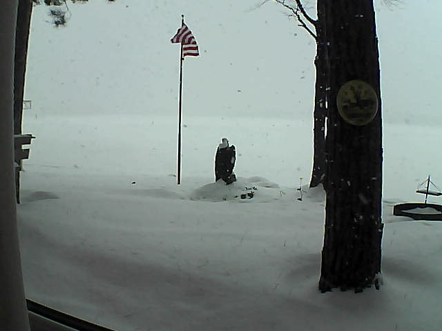 Whiteface Cam Image - Tue, 01/08/2019 8:15am 