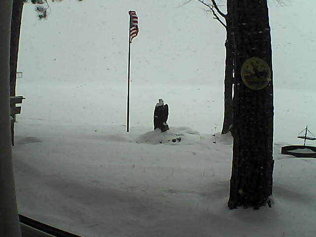 Whiteface Cam Image - Tue, 01/08/2019 8:35am 