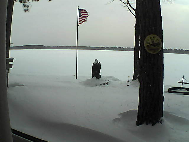 Whiteface Cam Image - Tue, 01/08/2019 9:15am 