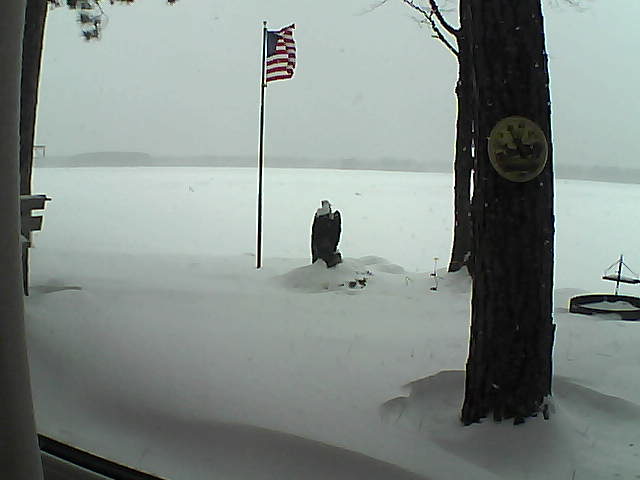 Whiteface Cam Image - Tue, 01/08/2019 9:35am 