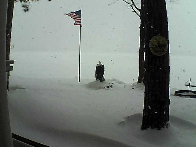 Whiteface Cam Image - Tue, 01/08/2019 10:15am 