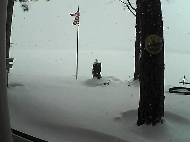 Whiteface Cam Image - Tue, 01/08/2019 10:25am 