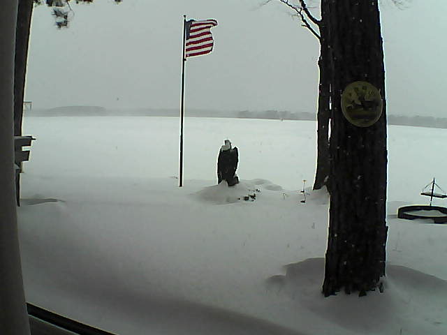 Whiteface Cam Image - Tue, 01/08/2019 10:55am 