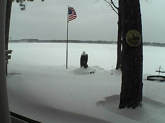 Whiteface Cam Image - Tue, 01/08/2019 11:35am 