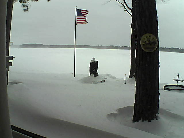 Whiteface Cam Image - Tue, 01/08/2019 12:05pm 