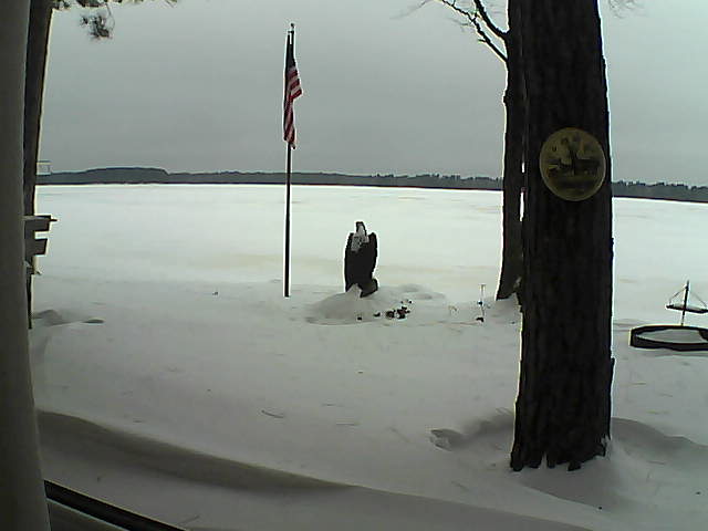 Whiteface Cam Image - Sun, 01/13/2019 9:13am 