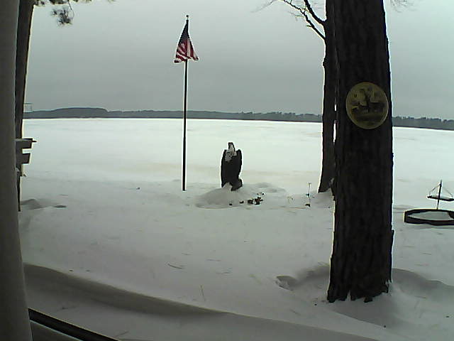 Whiteface Cam Image - Sun, 01/13/2019 11:23am 