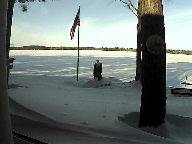 Whiteface Cam Image - Wed, 01/16/2019 10:22am 