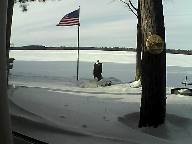 Whiteface Cam Image - Fri, 01/18/2019 1:50pm 