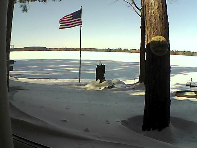 Whiteface Cam Image - Sat, 01/19/2019 11:49am 