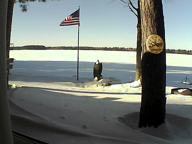 Whiteface Cam Image - Sat, 01/19/2019 1:49pm 