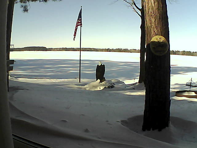 Whiteface Cam Image - Sun, 01/20/2019 11:49am 