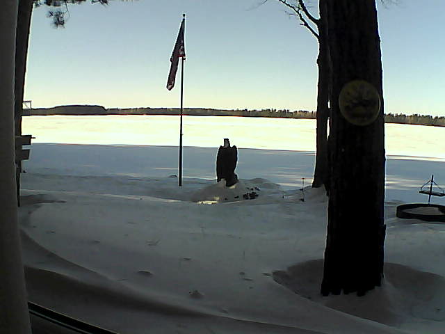 Whiteface Cam Image - Sun, 01/20/2019 2:29pm 