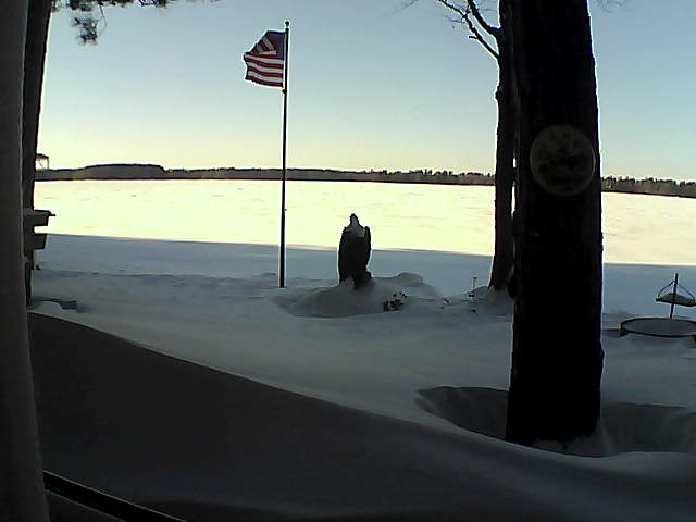 Whiteface Cam Image - Fri, 01/25/2019 3:33pm 