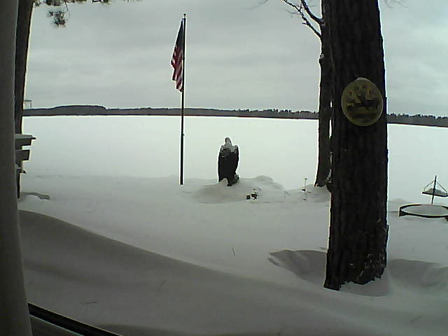 Whiteface Cam Image - Mon, 01/28/2019 12:31pm 