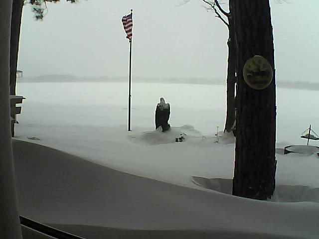 Whiteface Cam Image - Tue, 01/29/2019 2:40pm 