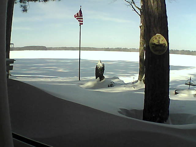 Whiteface Cam Image - Wed, 01/30/2019 11:37am 