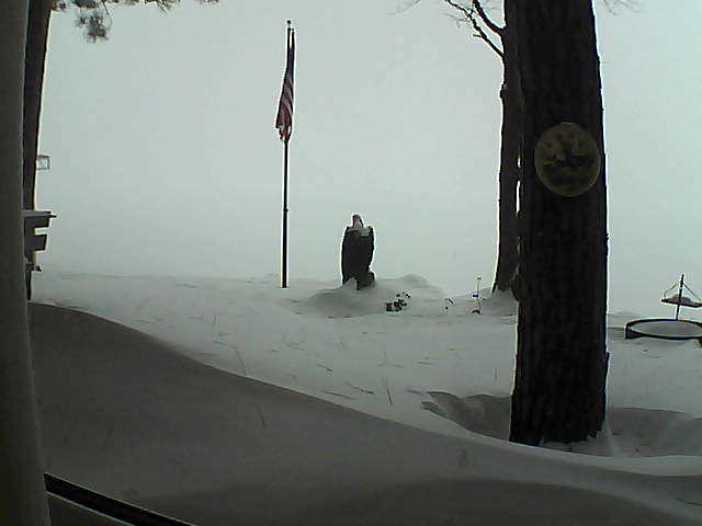 Whiteface Cam Image - Sun, 02/03/2019 7:33am 