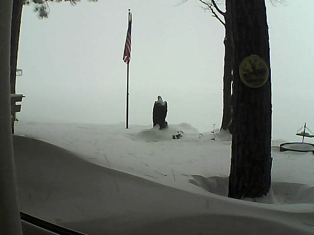 Whiteface Cam Image - Sun, 02/03/2019 7:43am 