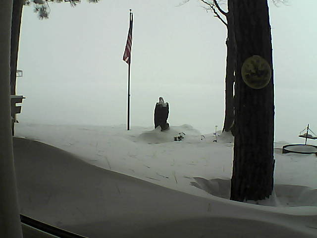 Whiteface Cam Image - Sun, 02/03/2019 8:13am 