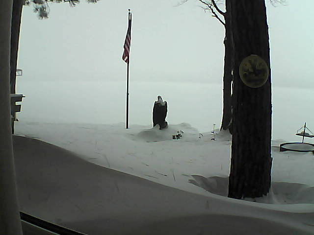 Whiteface Cam Image - Sun, 02/03/2019 8:23am 