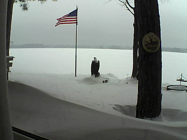 Whiteface Cam Image - Sun, 02/03/2019 12:23pm 