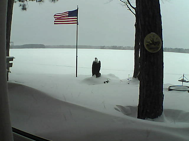 Whiteface Cam Image - Mon, 02/04/2019 8:22am 