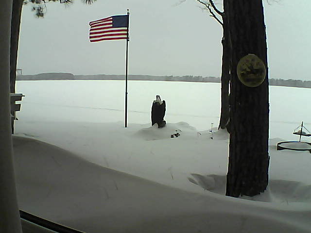 Whiteface Cam Image - Mon, 02/04/2019 11:02am 