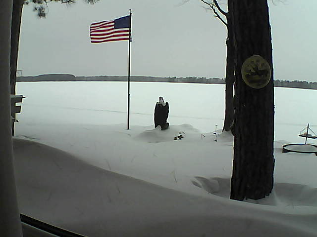 Whiteface Cam Image - Mon, 02/04/2019 1:22pm 