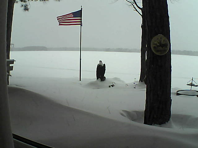 Whiteface Cam Image - Mon, 02/04/2019 3:02pm 