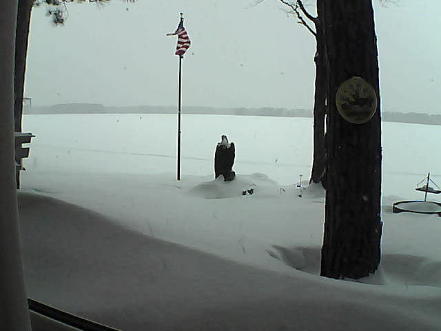 Whiteface Cam Image - Mon, 02/04/2019 4:52pm 