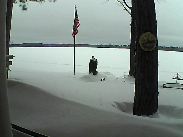 Whiteface Cam Image - Tue, 02/05/2019 7:31am 