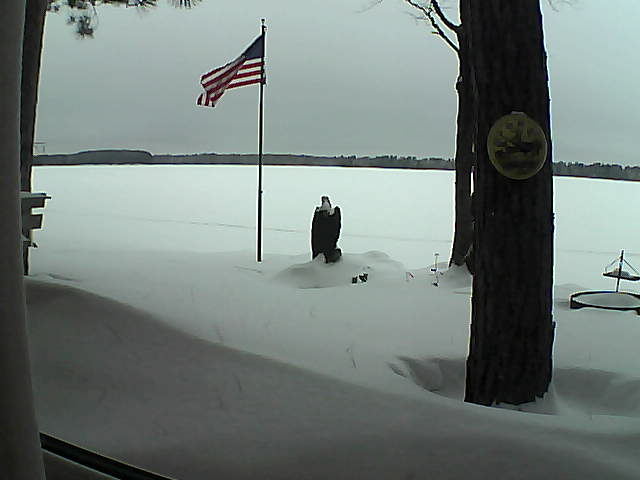 Whiteface Cam Image - Tue, 02/05/2019 8:51am 