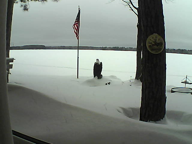 Whiteface Cam Image - Tue, 02/05/2019 11:51am 